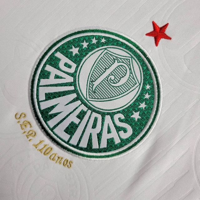 Camisa Palmeiras 24/25 - Puma torcedor masculina - Lançamento